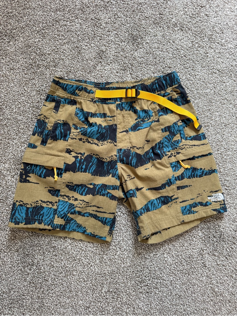 The North Face Shorts